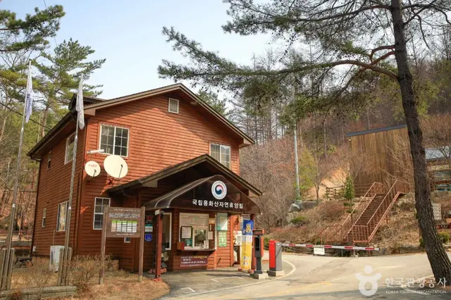 국립 용화산자연휴양림 사진