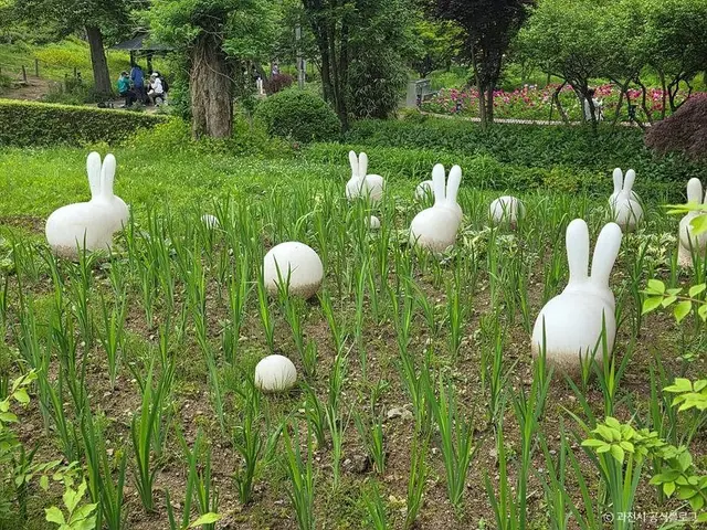 과천야생화자연학습장 사진