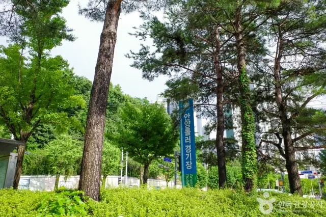 안양인라인롤러경기장 사진