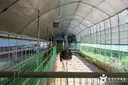 찬우물 체험 동물농장 사진