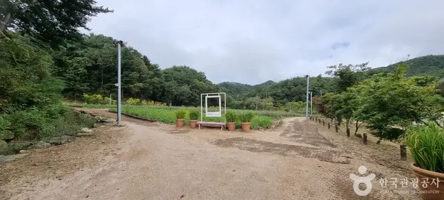 마이애니멀스토리 in 평강랜드 사진