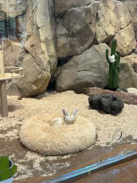 와글와글 동물원 사진
