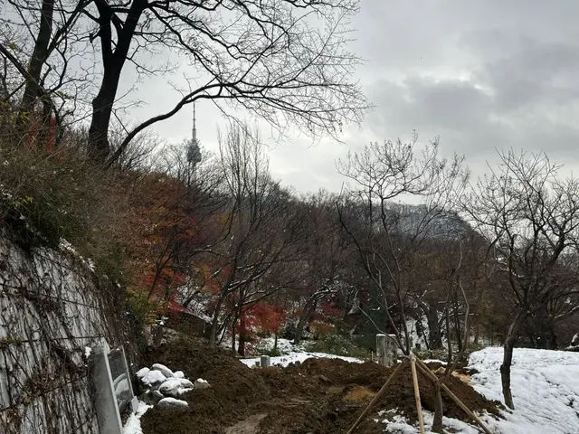 남산인권숲 사진