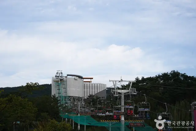 경주루지월드 사진