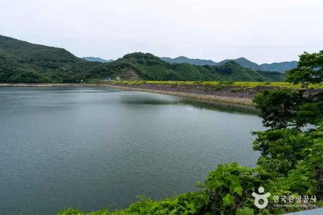 옐로우 출렁다리 사진