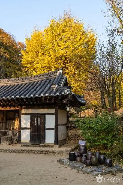 한국민속촌 사진