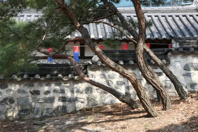 남산골한옥마을 사진