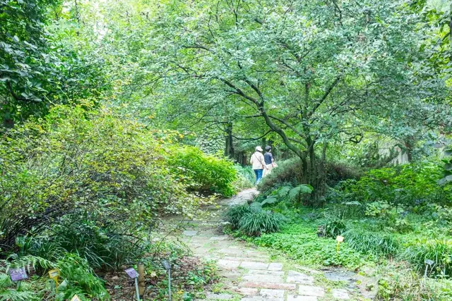 기청산식물원 사진