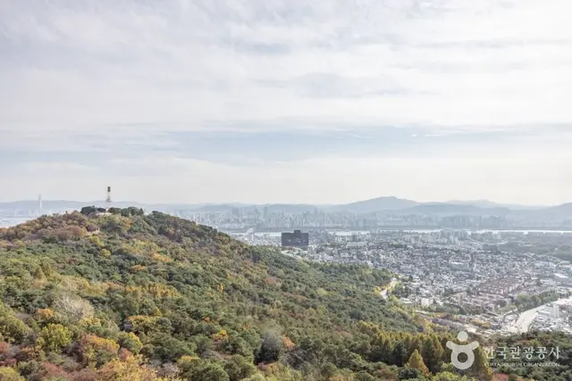 남산공원(서울) 사진