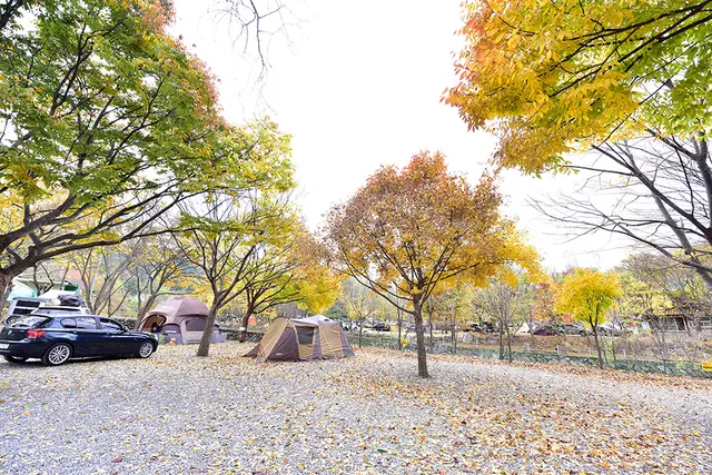 개울가오토캠핑장 사진