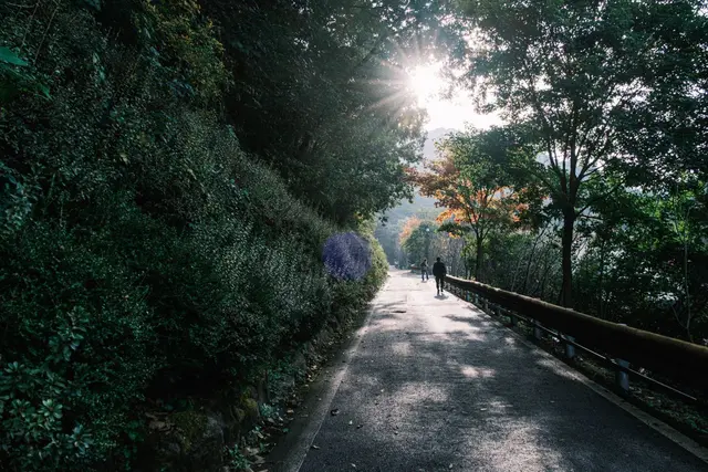 좌구산 자연휴양림 사진