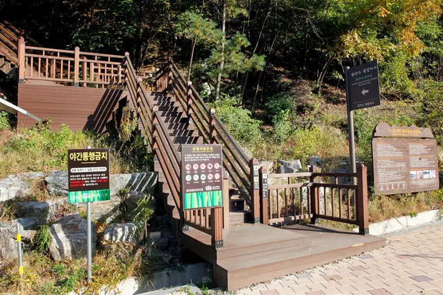 감악산 출렁다리 사진
