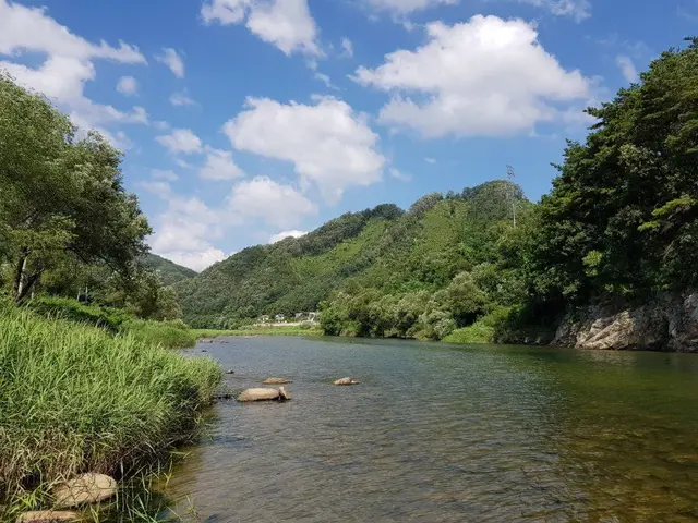 홍천와캠핑 사진