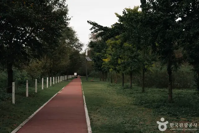 춘천 하중도수변생태공원 사진