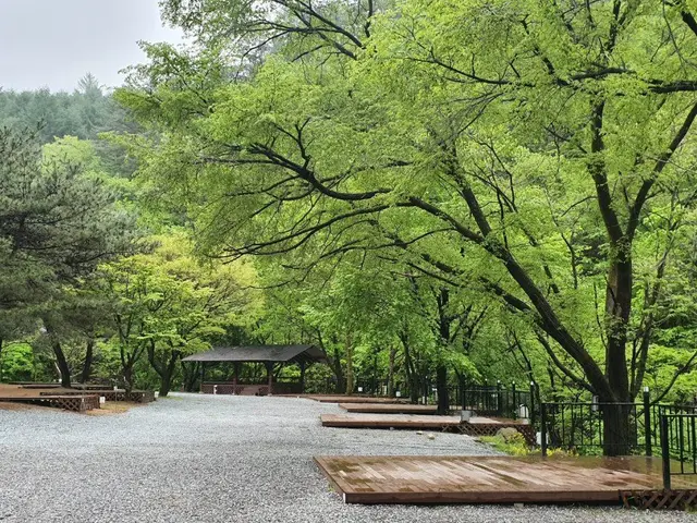 검산별빛캠핑장 사진