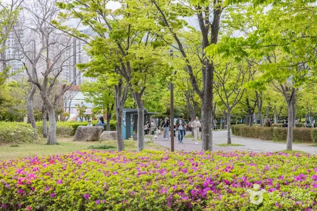 부산시민공원 사진