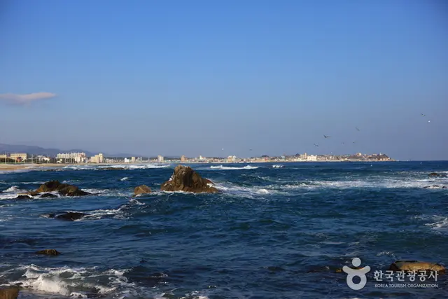 영진해변 사진