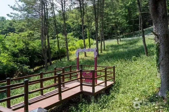 가야산 야생화식물원 사진