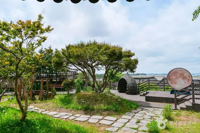 함평 억새밸리존 사진