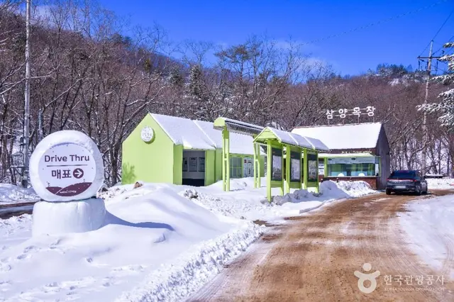 삼양라운드힐 사진