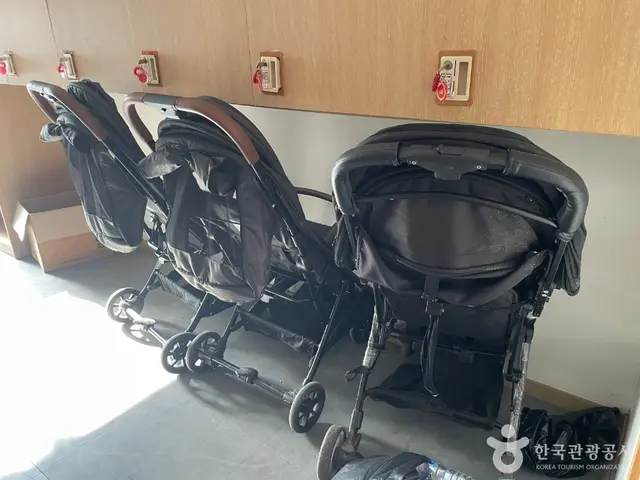 대구수목원 사진