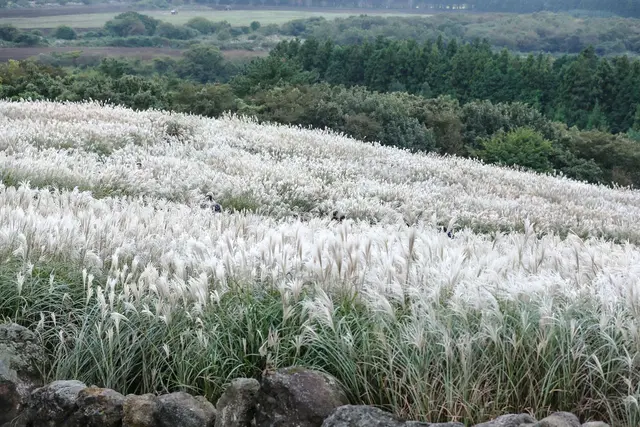 산굼부리 사진