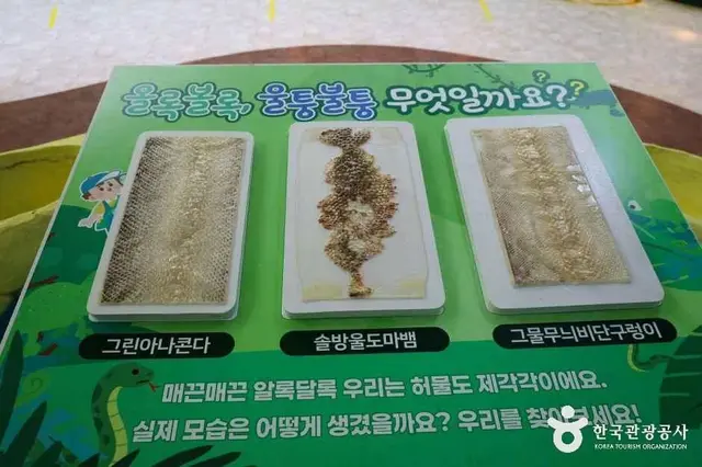 함평양서파충류생태공원 사진