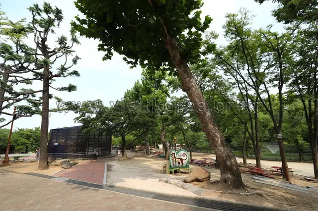 달성공원 사진