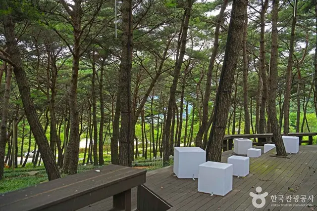 구례 야생화테마랜드 사진