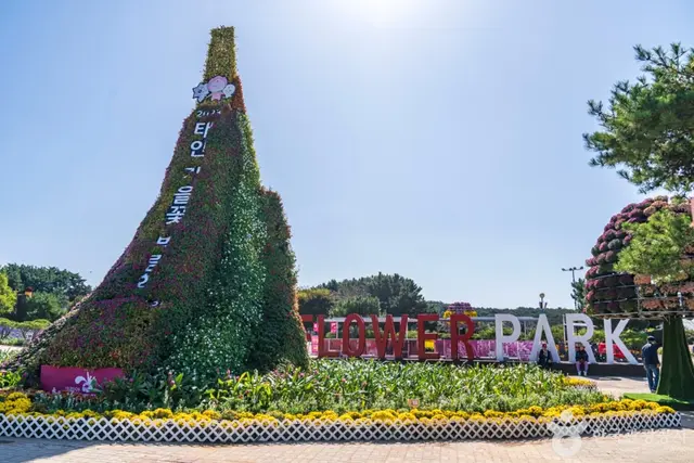 꽃지해안공원 사진
