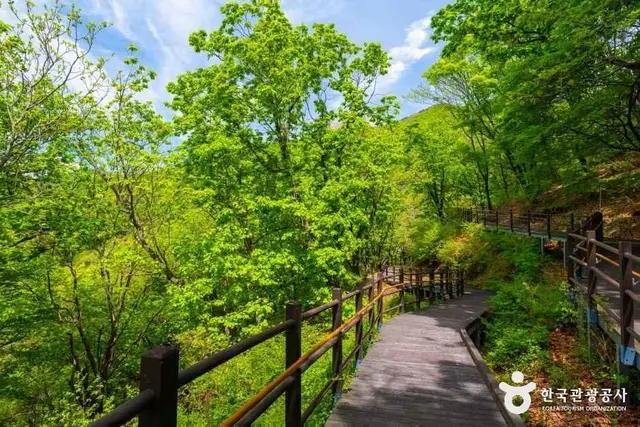 설매재자연휴양림 사진