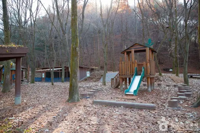 상소동 산림욕장 사진