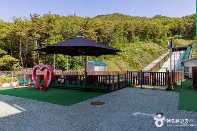 단양 사계절썰매장 사진