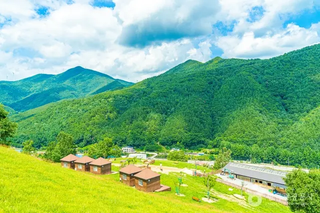몽토랑산양목장&뷰카페 사진