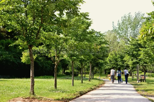 용산가족공원 사진