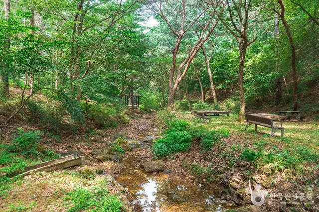 문수산산림욕장 사진