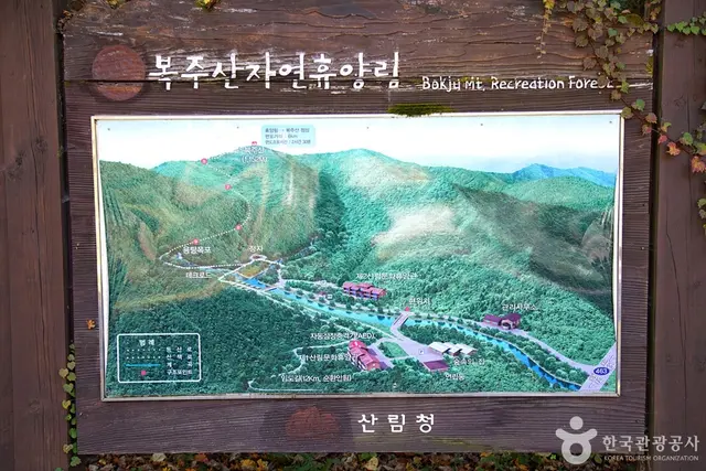국립 복주산자연휴양림 사진