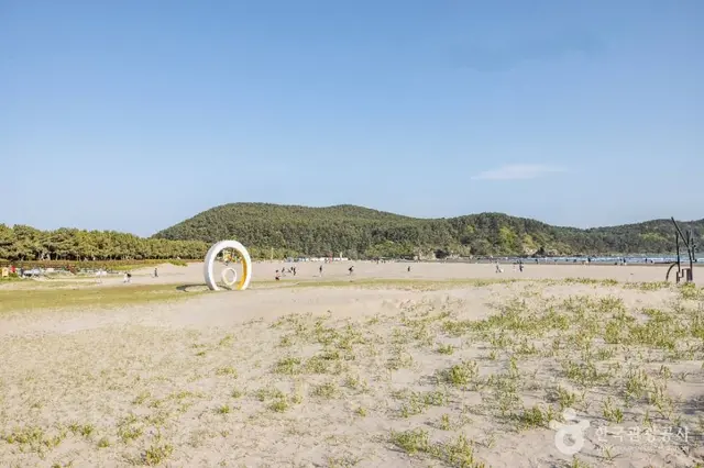 다대포해수욕장 사진