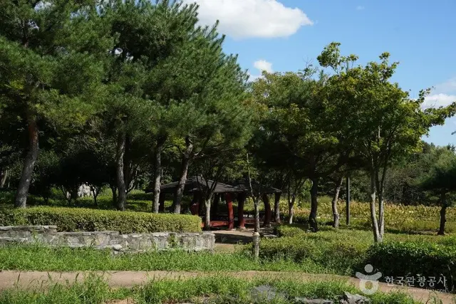시민문화체육공원 사진