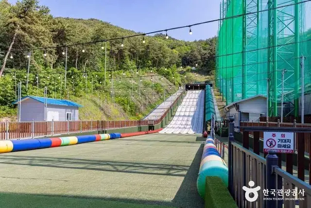 단양 사계절썰매장 사진