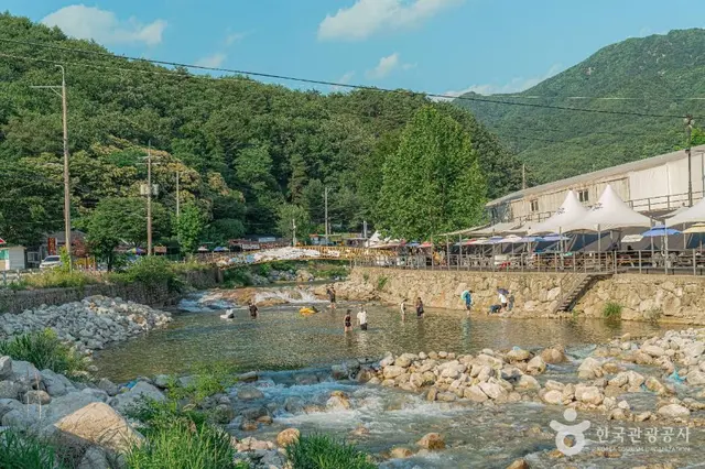 백운계곡 사진