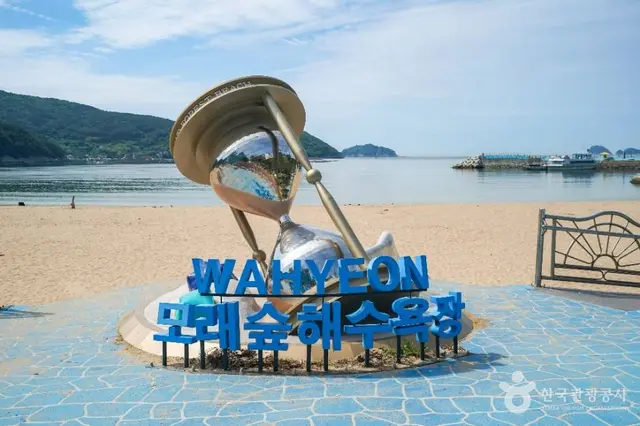 와현모래숲해변 사진