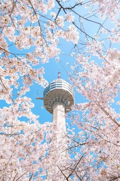 이월드 사진