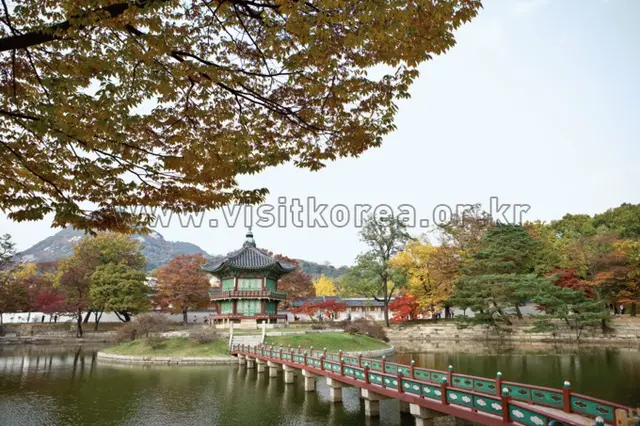 경복궁 향원정 사진