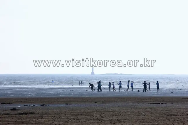 몽산포해수욕장 사진