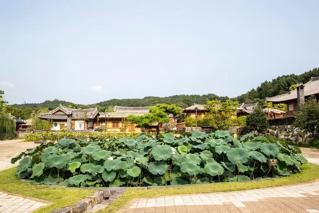 공주한옥마을 사진