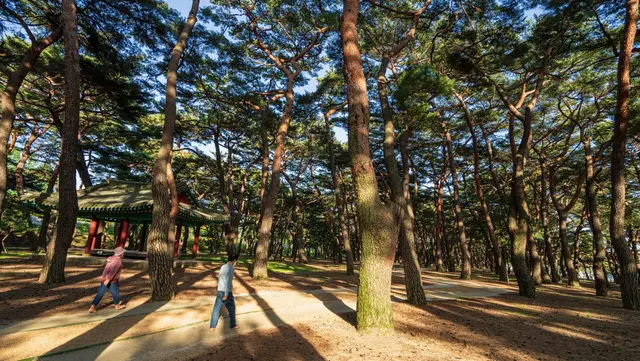 하동송림공원 사진