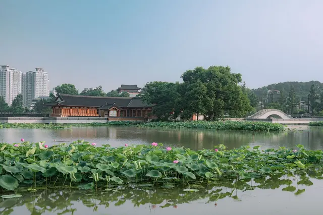 덕진공원 사진