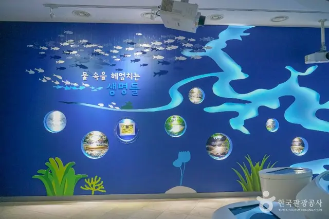 용담댐 물 문화관 사진