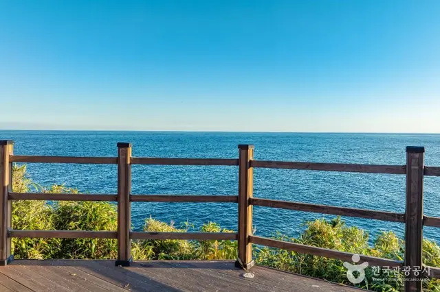 죽도산전망대 사진